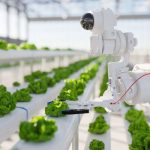 IoT untuk Smart Farming: Memantau Tanaman dan Kualitas Tanah