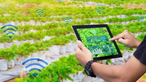 Kelas Project IoT Smart Farming