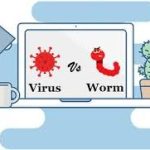 Perbedaan Antara Virus dan Worm dalam Dunia Cyber Security