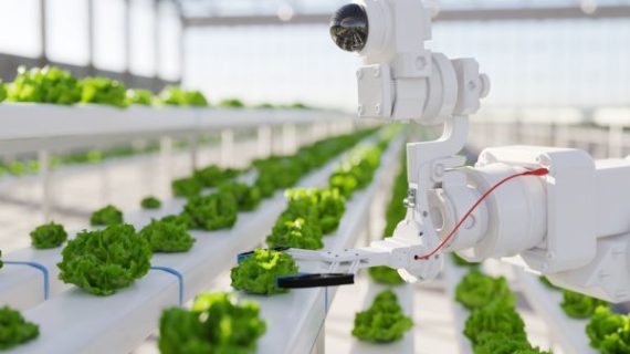 IoT untuk Smart Farming: Memantau Tanaman dan Kualitas Tanah