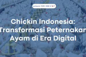 Chickin Indonesia: Transformasi Peternakan Ayam di Era Digital