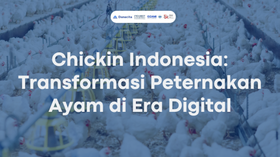 Chickin Indonesia: Transformasi Peternakan Ayam di Era Digital