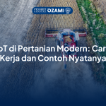 IoT di Pertanian Modern: Cara Kerja dan Contoh Nyatanya
