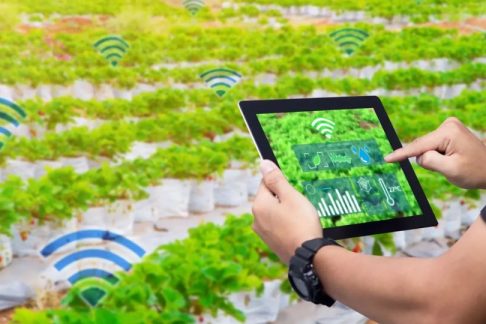 Kelas Project IoT Smart Farming